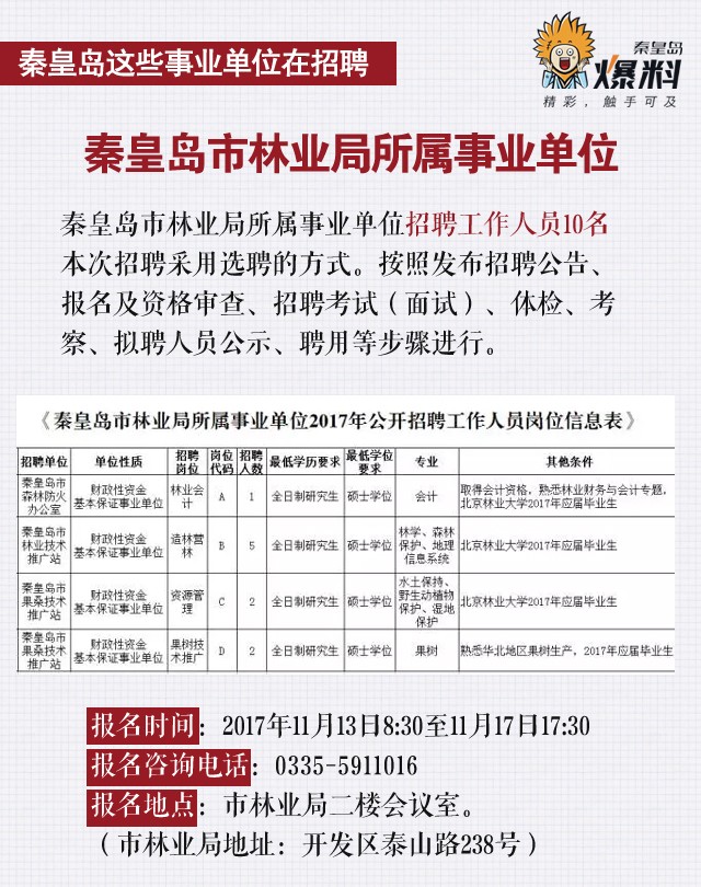 唐县2016最新招聘信息揭秘，求职步骤指南