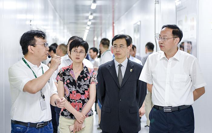 安嘉吉最新招聘信息揭秘！