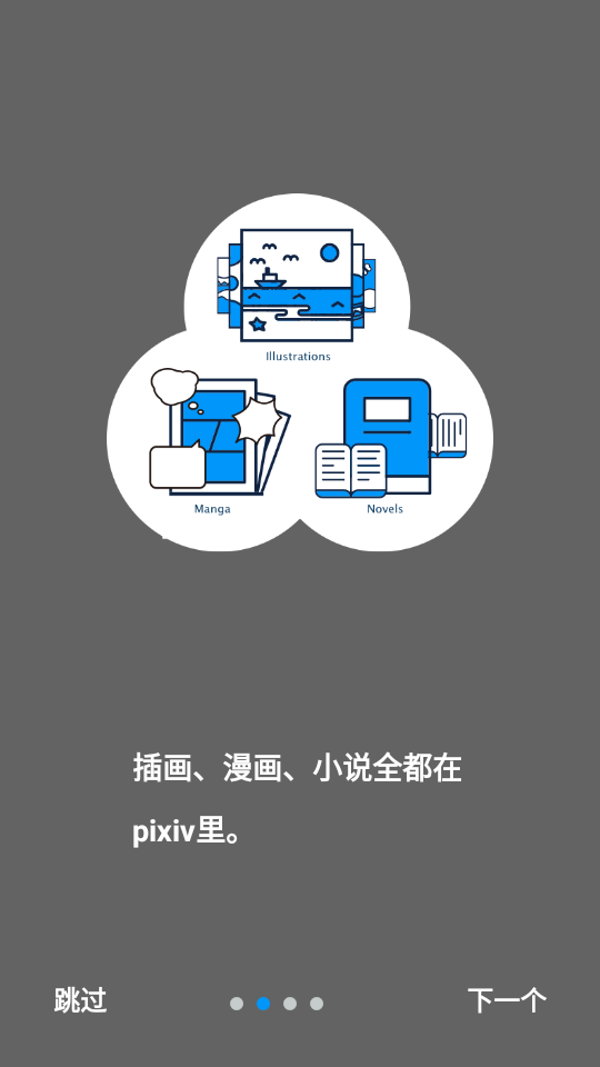 小红书分享，P站APP最新版全新体验探索