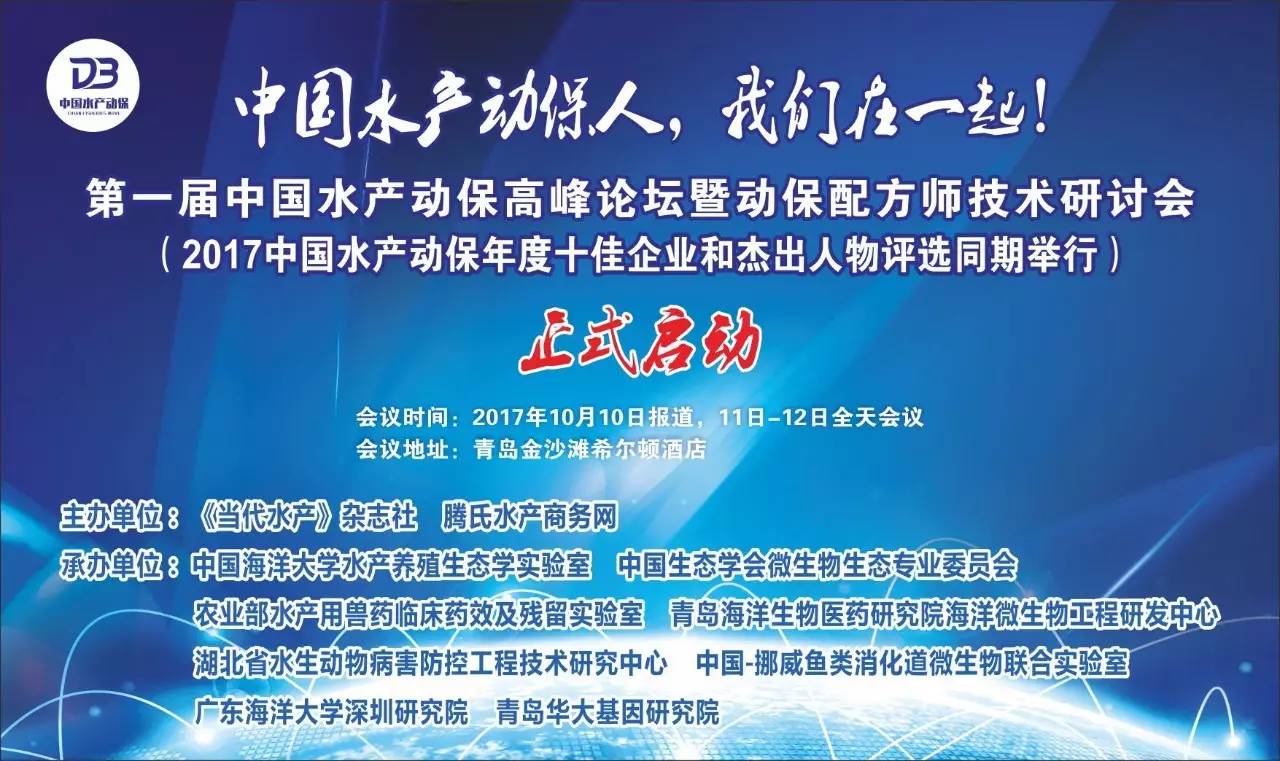 威海初村最新招聘热潮