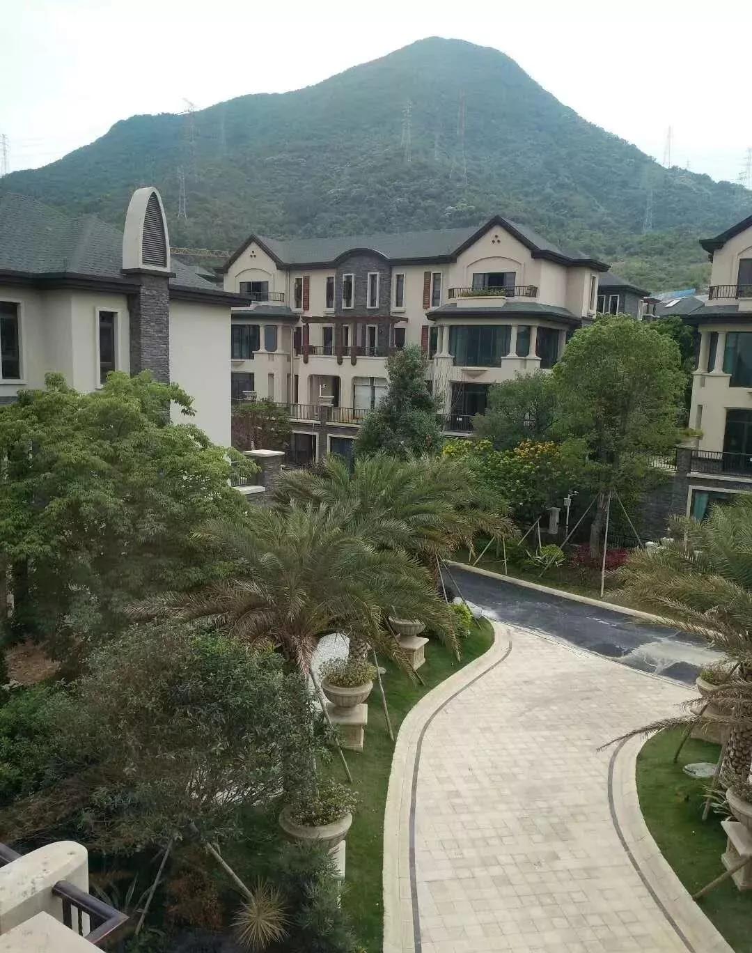 一等色最新详解，从入门到精通的步骤指南