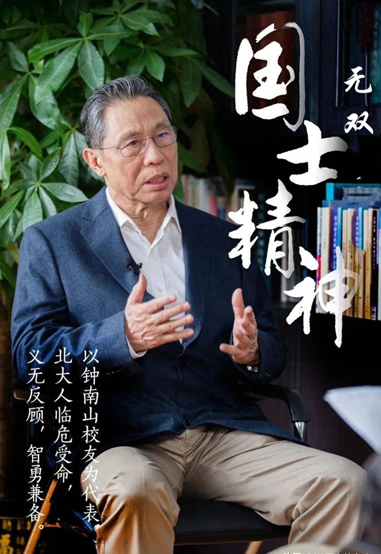 深度解析与观点论述