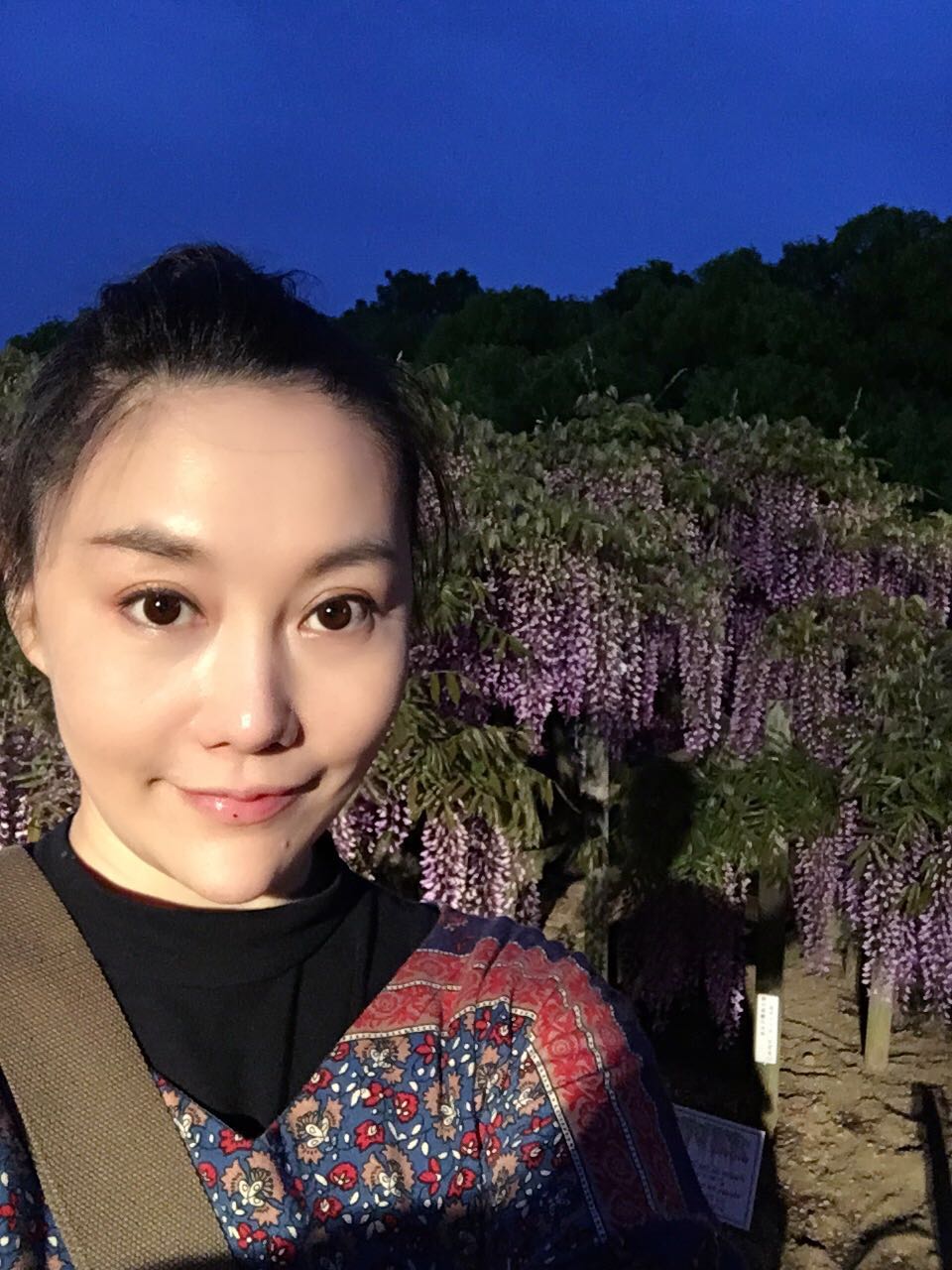 佛学之旅（或佛学温馨日常）