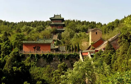 大宝殿bug最新揭秘，与自然美景的奇妙旅行探险