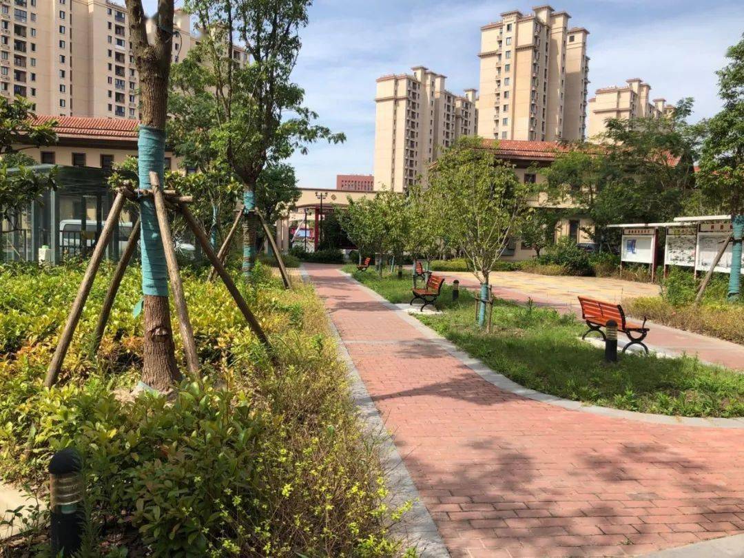 宏港苑最新探索，自然美景的治愈之旅