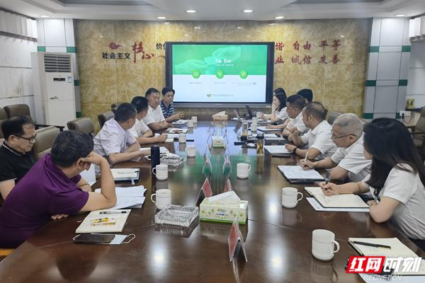 红网华容，聚焦发展与变革的最新动态