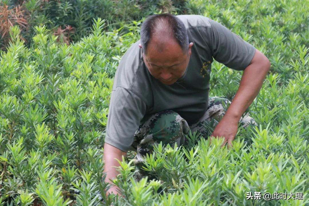 弥渡最新新闻报道
