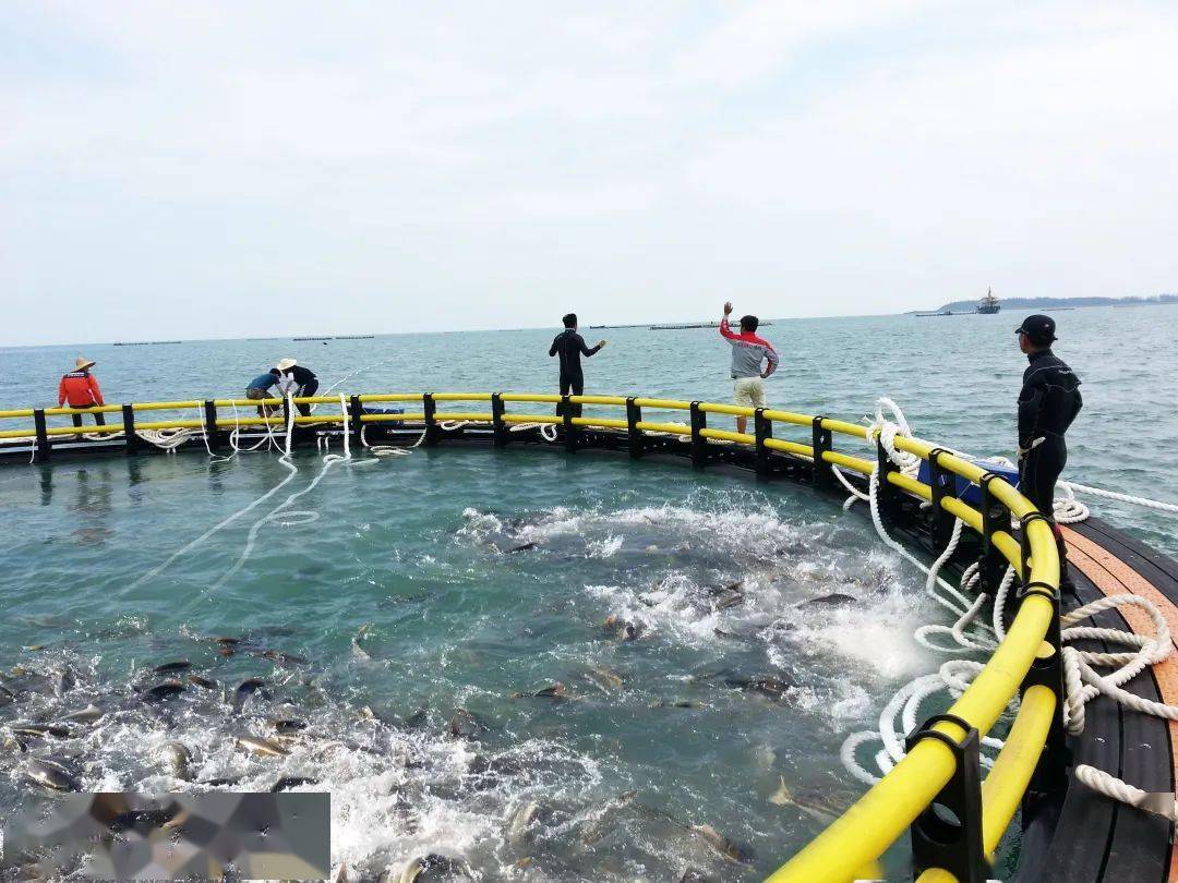 海水养殖技术
