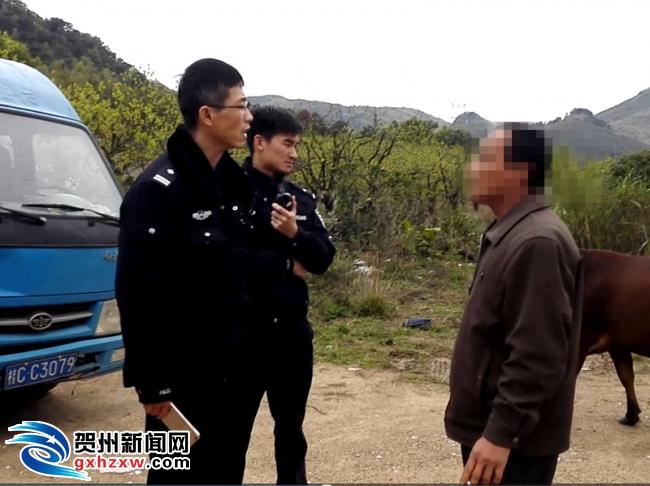 贺州最新车祸事件报道