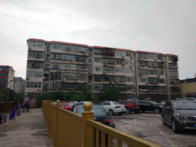 最新发展视角