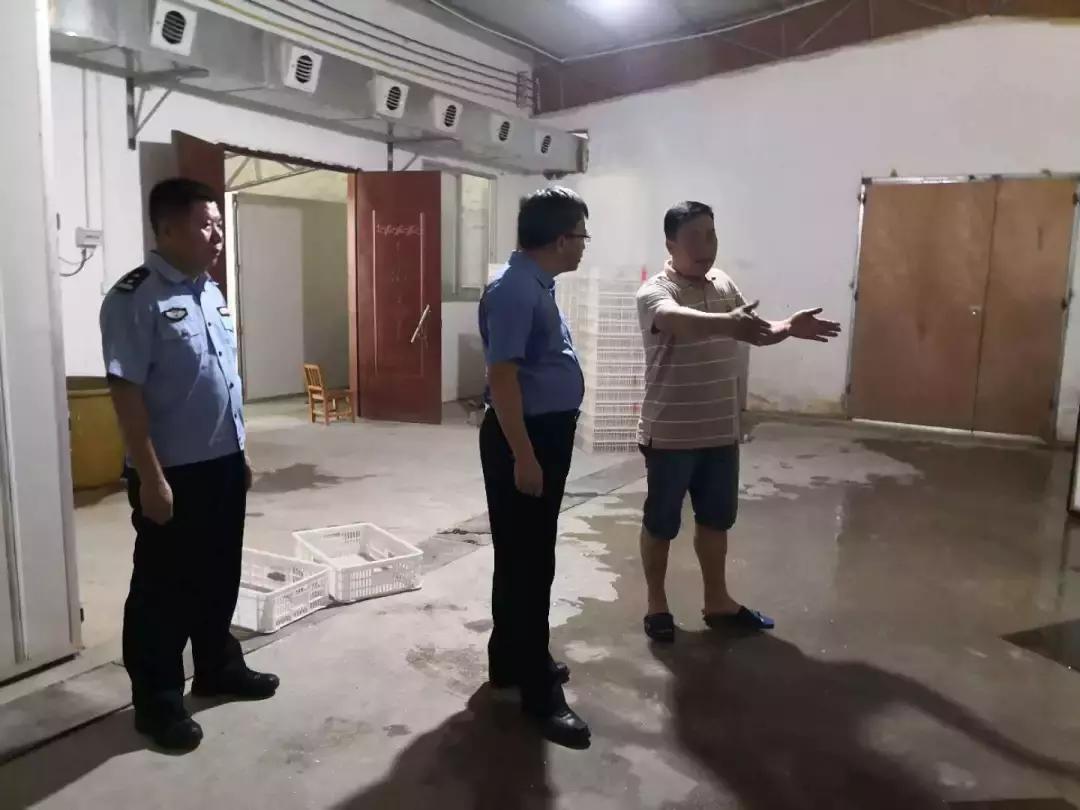 科技重塑养鸡业，小苏最新种鸡引领前沿生活体验