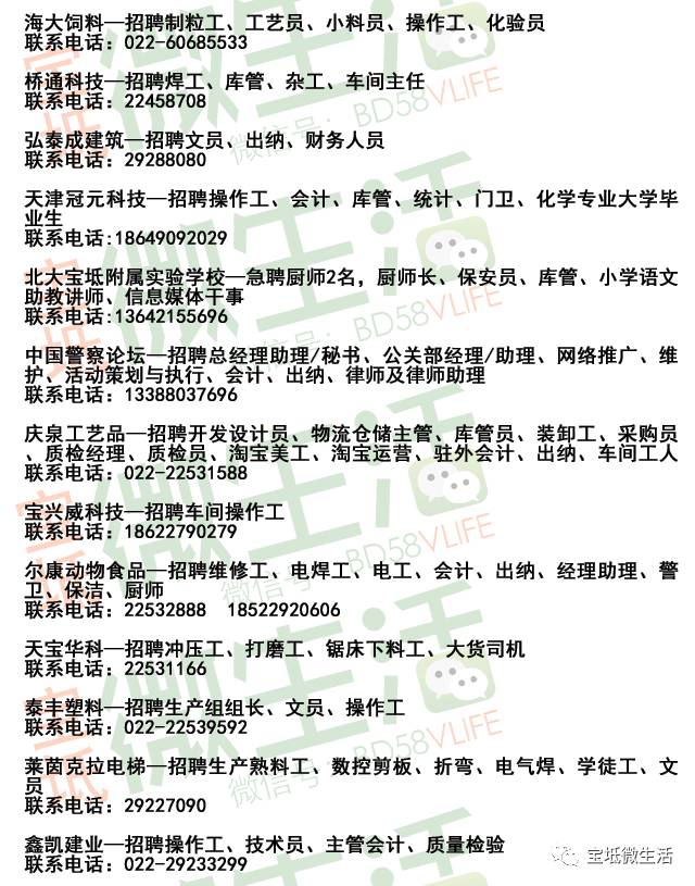 宁津最新招工信息大揭秘，岗位空缺与求职机会汇总