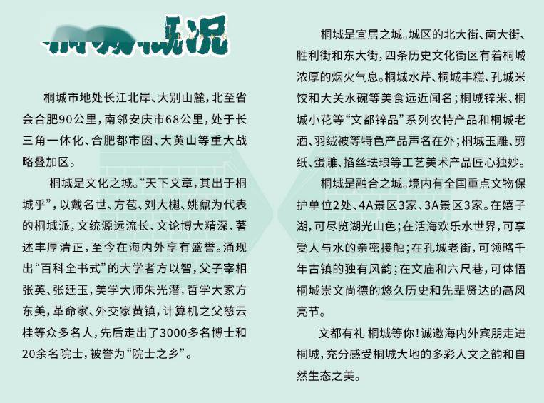 桐城最新楼盘