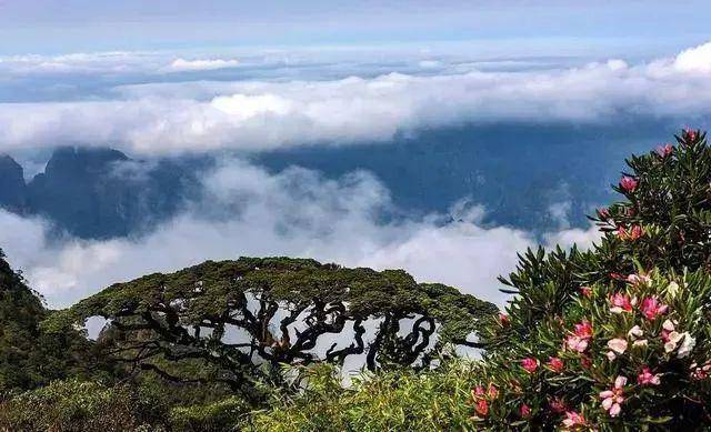 探索自然美景旅程