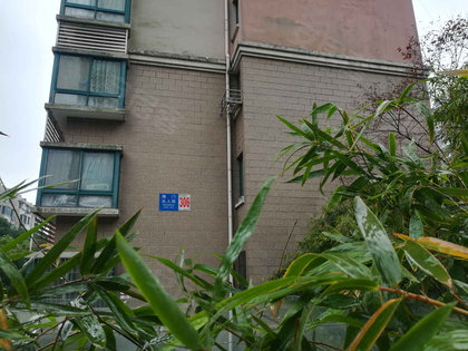 小巷特色小店探索