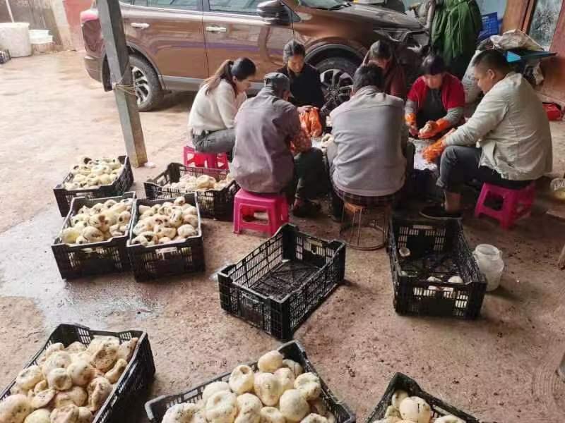 科技赋能生活，实时掌握活禽最新价格