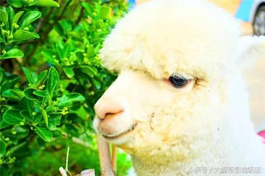 娱乐最前沿潮流