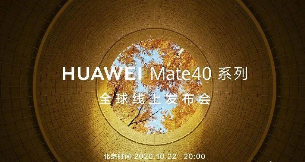 华为最新手环探索，小巷中的隐藏宝藏，魅力小店的未知魅力